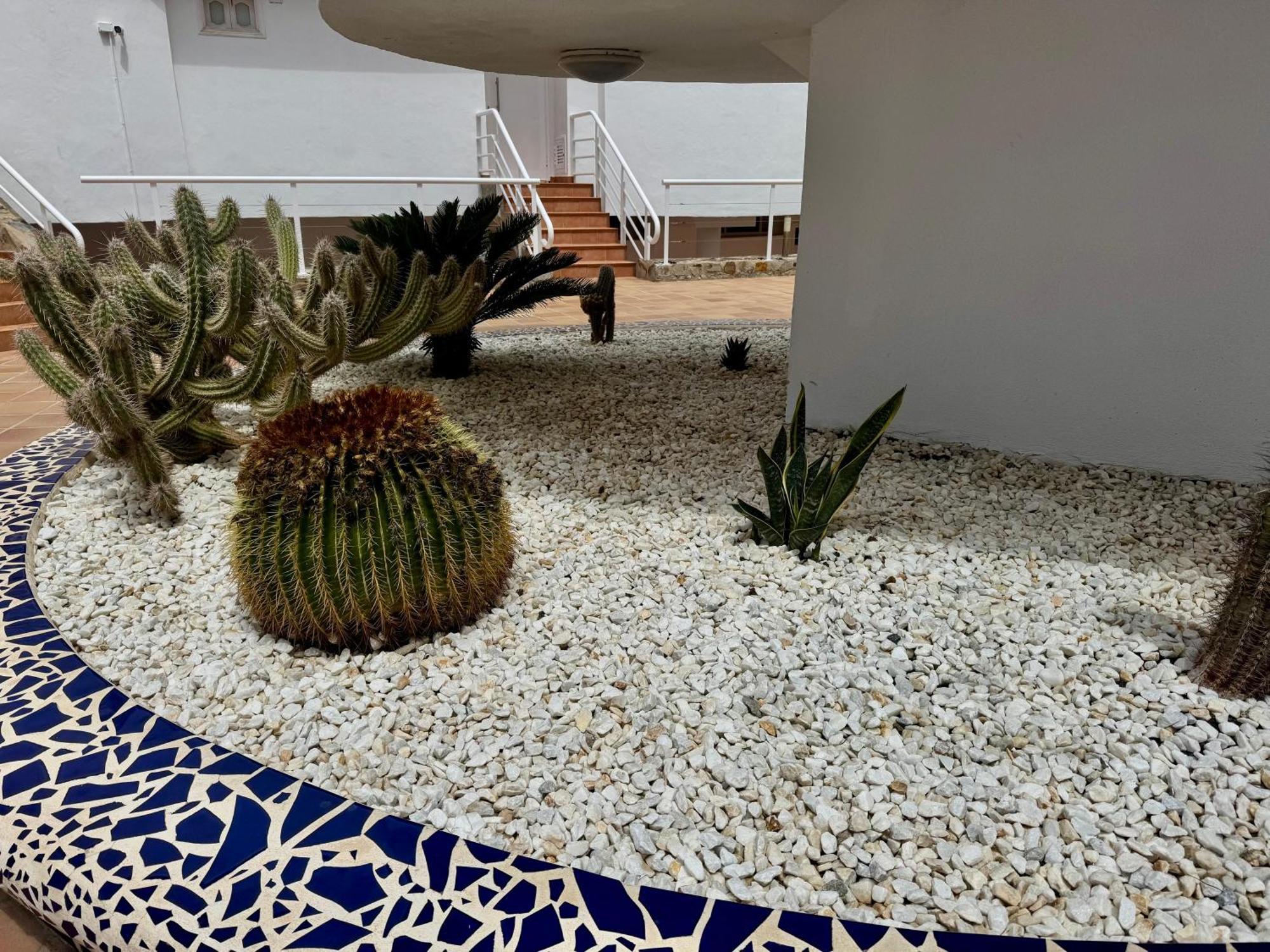 San Eugenio Charming Renovated Apartment Tenerife Costa Adeje  Exterior foto